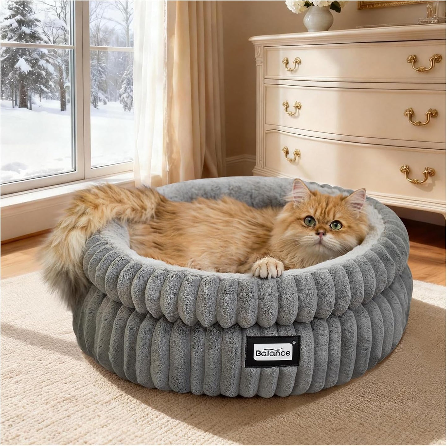 BALANCE Cat Bed Kitten Bed, Washable Round Cat Beds for Indoor Cats, S