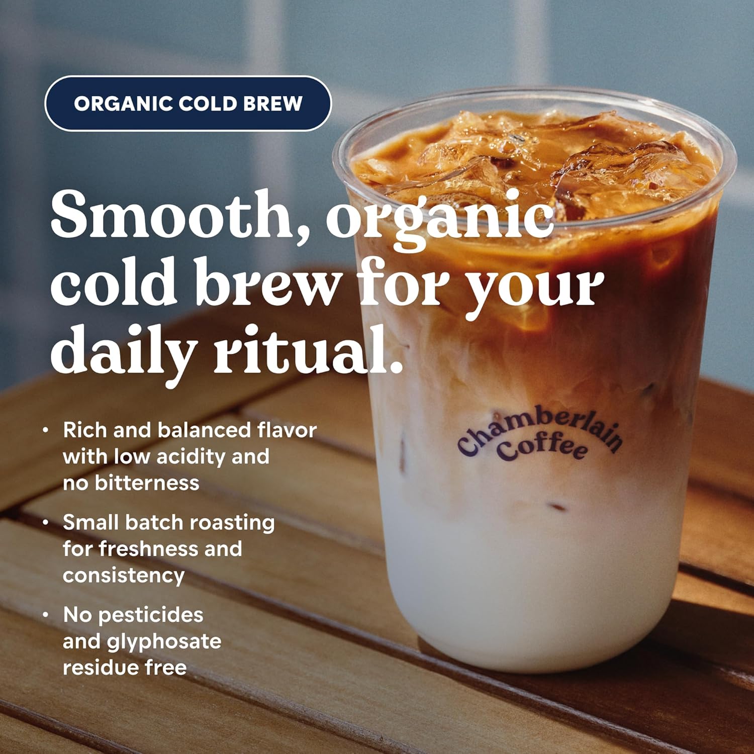 Chamberlain Coffee Organic Variety Cold Brew Singles Medium Roast – 10