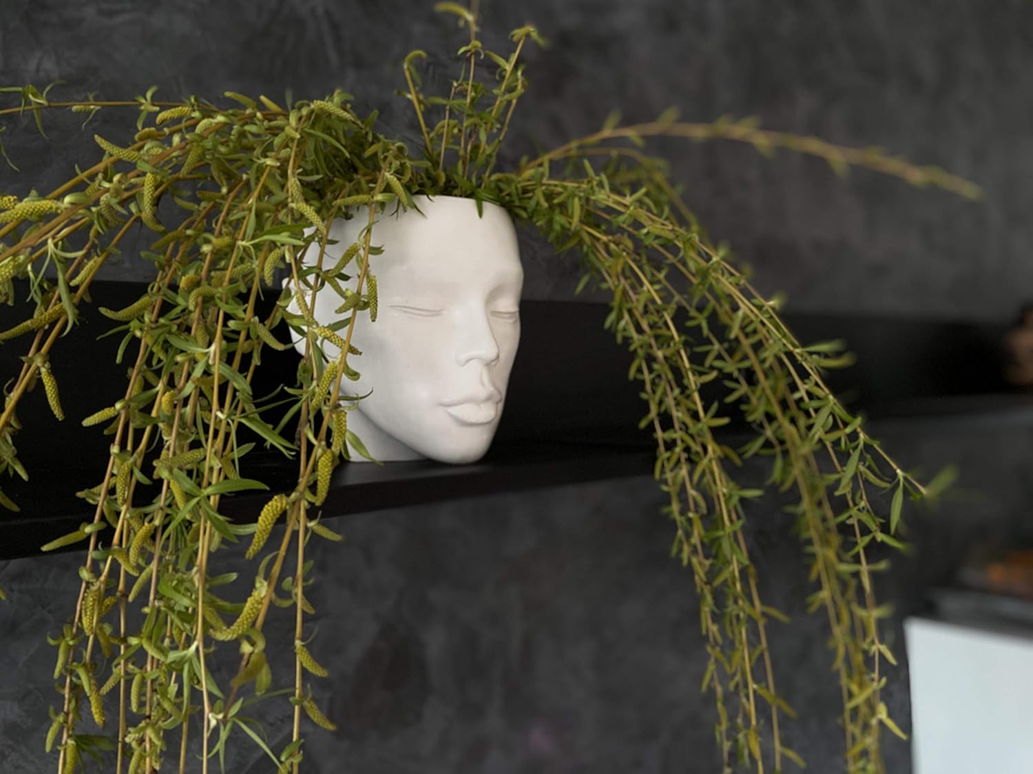 Head Planter Face Wall Hanging Table Vase Female