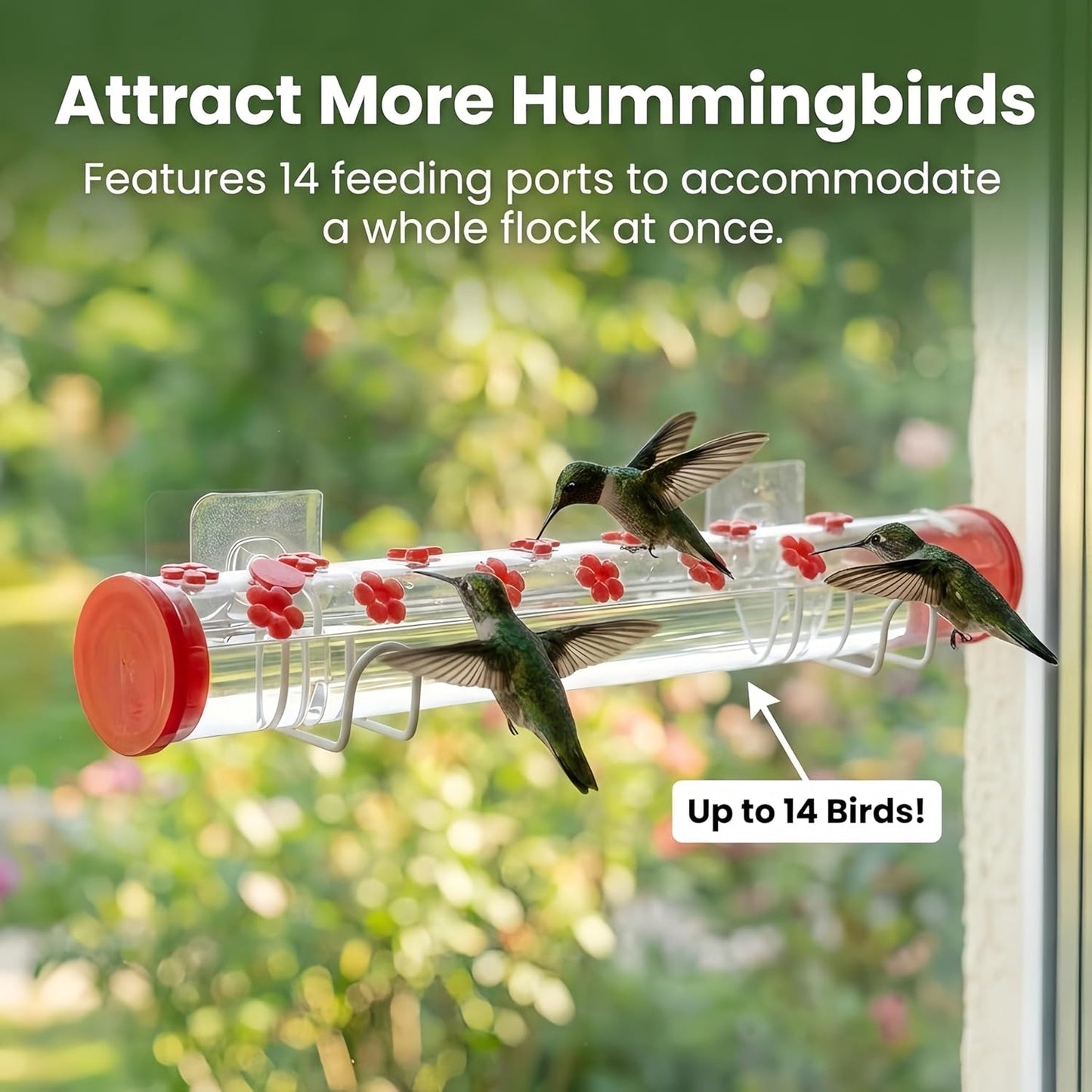 Window Hummingbird Feeder Clear Acrylic Tube with Flower Feeding Ports Multiple Hole Removable Suction Cup Mount for Wild Bird