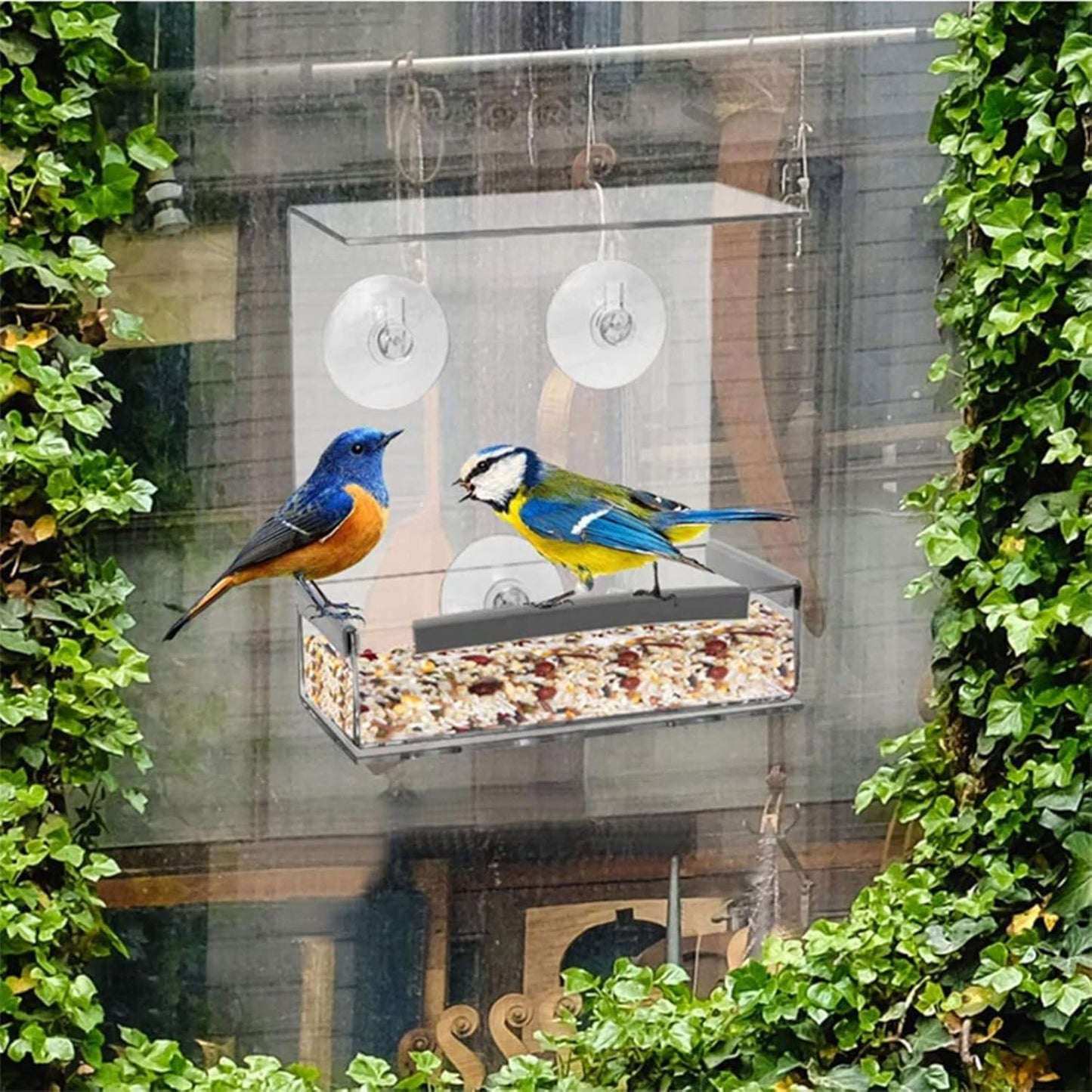 Pet Bird Food Dispenser Parrots Feeder Clear Tray Bird Food Container Small Birds Cage Accessories
