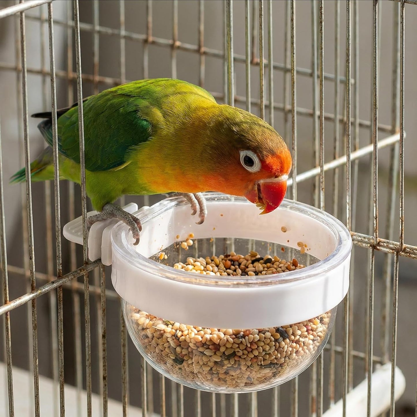 4 Pack Detachable Transparent Bowl, Bird Food Bowl, Plastic Food Cup, 