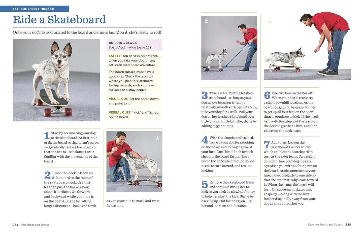The Big Book of Tricks for the Best Dog Ever: A Step-by-Step Guide to 