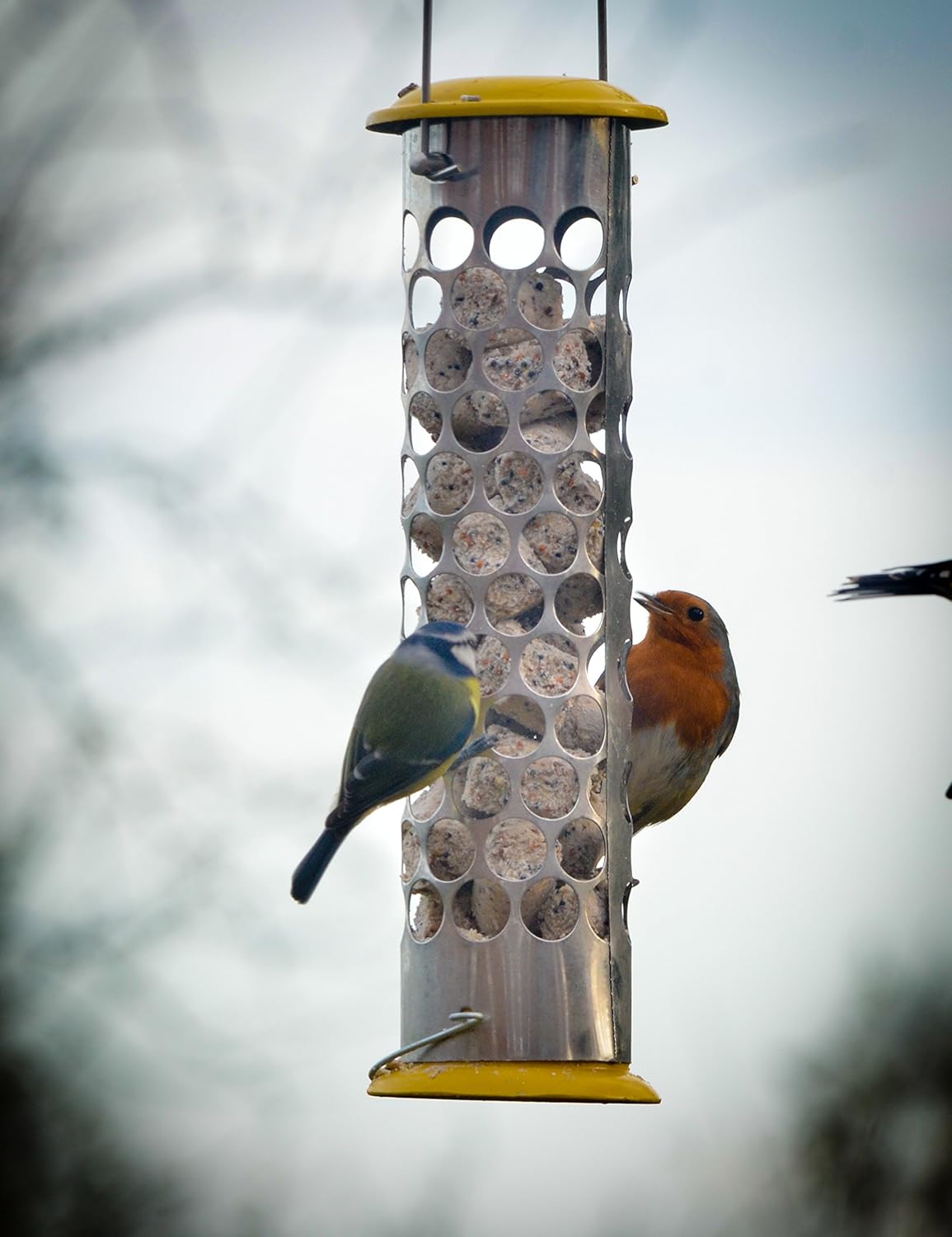 Peckish Daily Goodness Nugget Bird Feeder