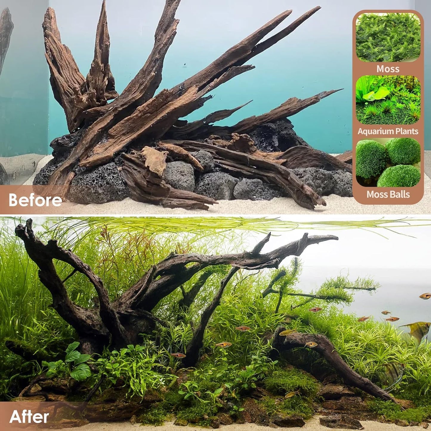 Jorewood Natural Aquarium Driftwood for Fish Tanks & Reptile Terrarium