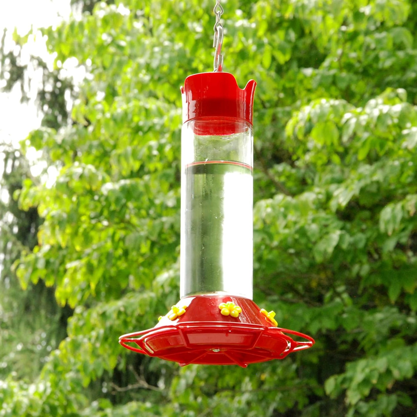 Perky-Pet 209B-1SR Our Best Glass Hummingbird Feeder with Perches, Built-in Ant Moat and Bee Guards - 30 oz+Perky-Pet 522 Ready-to-Use Clear Hummingbird Nectar in 4 Cans,16 oz Recyclable Aluminum Can