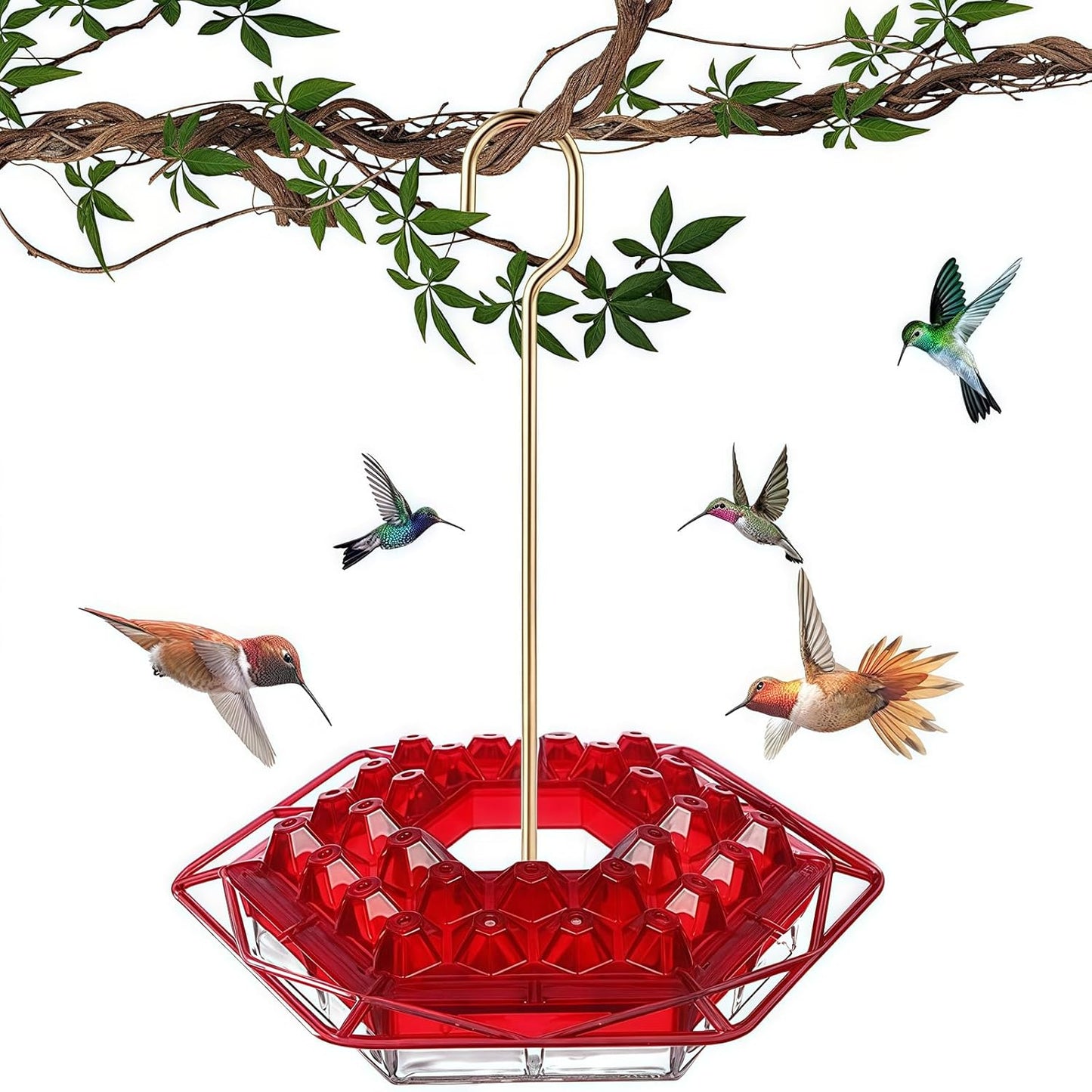 Hummingbird Feeder with Ant-Proof Moat Hummingbird Feeder, Easy to Cle