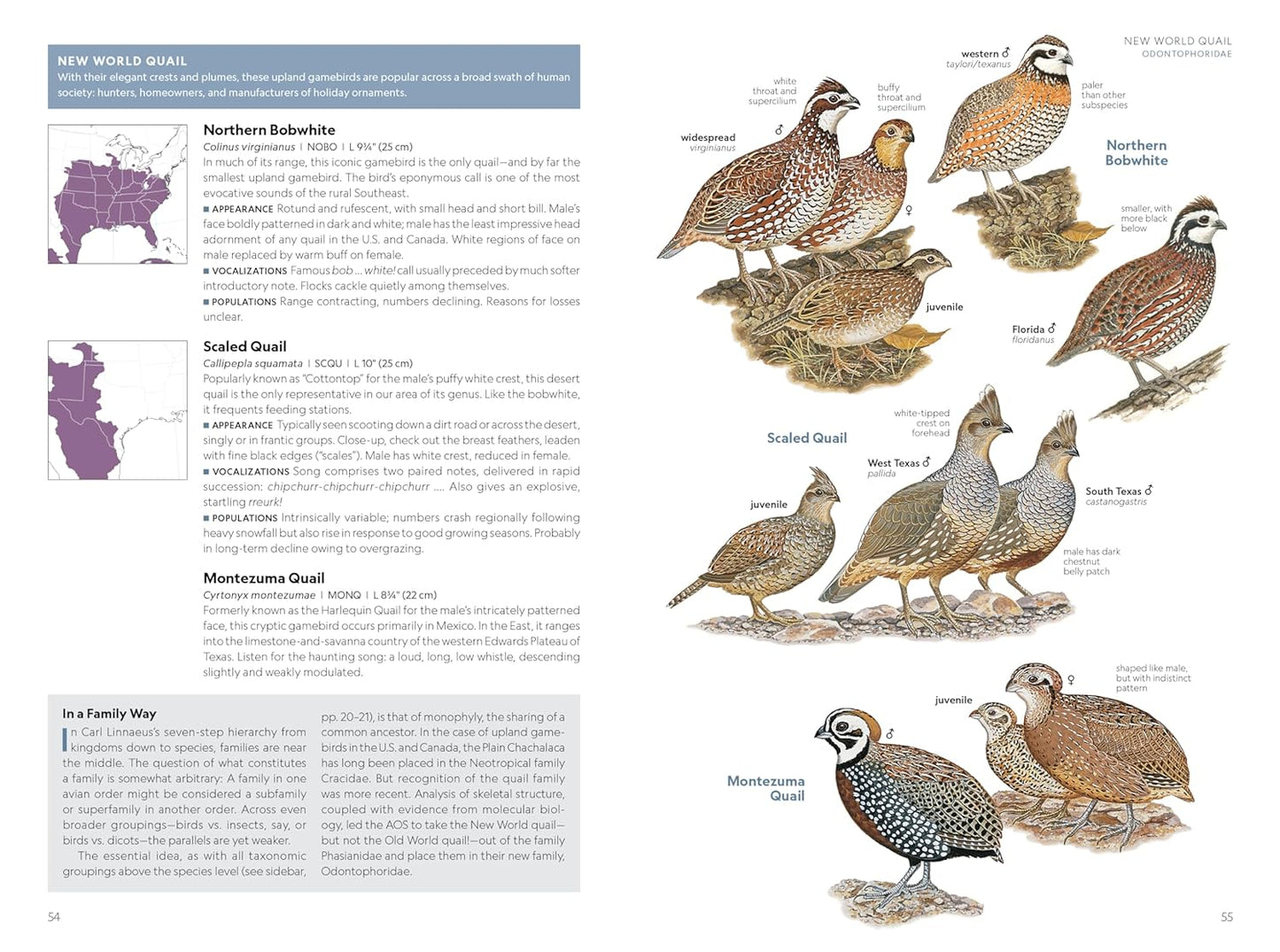 National Geographic Field Guide to the Birds of the United States and 