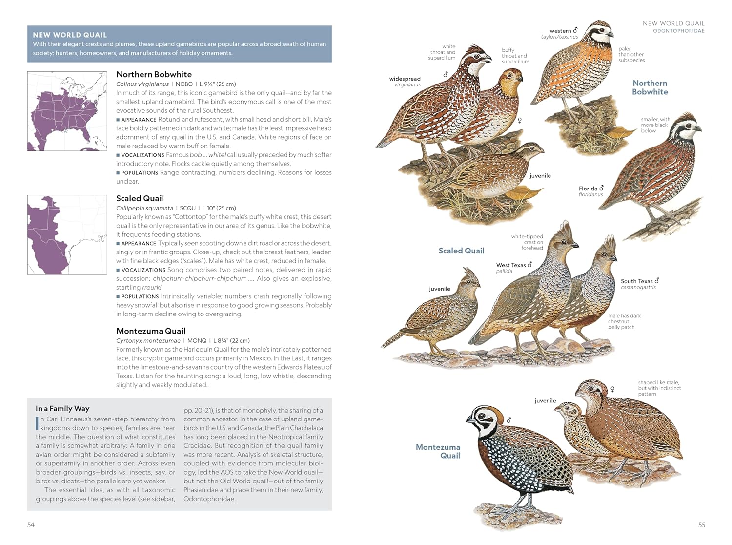 National Geographic Field Guide to the Birds of the United States and 