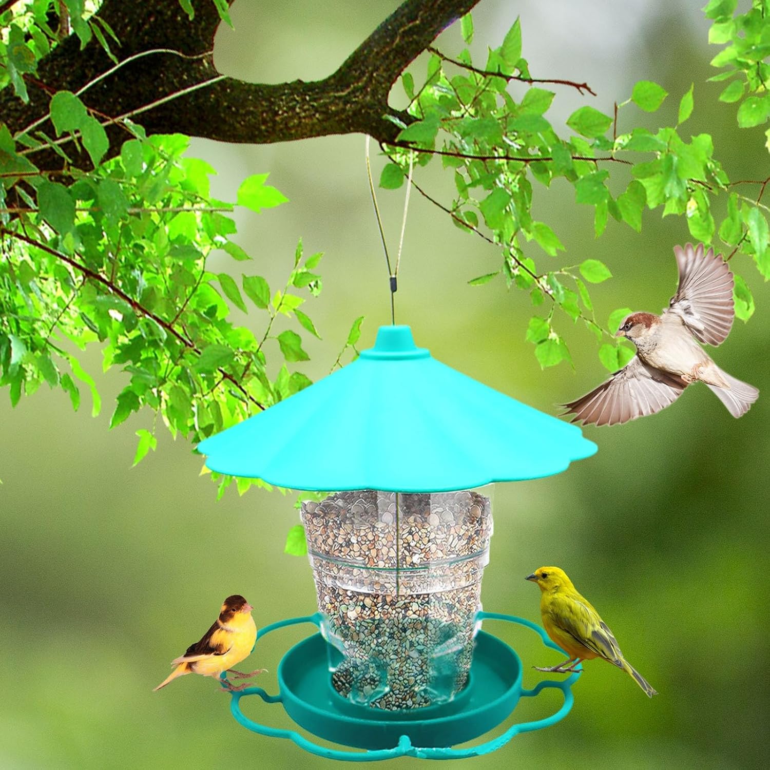 Bird Feeders for Outdoors, 40 oz Large Capacity Plastic Squirrel Proof