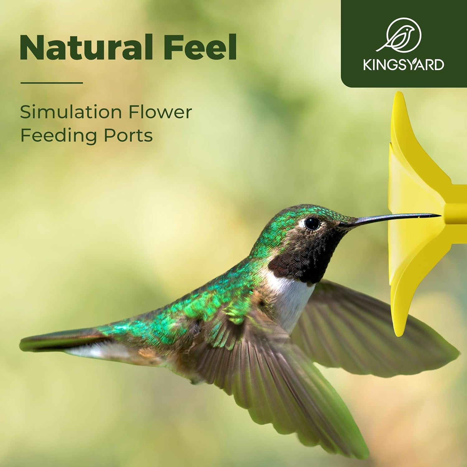 Kingsyard Glass Hummingbird Feeders for Outdoors Hanging Ant & Bee Pro