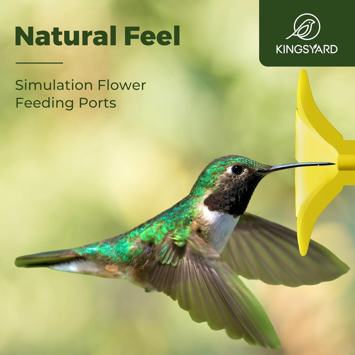 Kingsyard Glass Hummingbird Feeders for Outdoors Hanging Ant & Bee Proof, 16 Ounces Bird Nectar Feeder 6 Flower Feeding Ports, Leak Proof, Easy to Refill & Clean, Ant Moat Included, Red