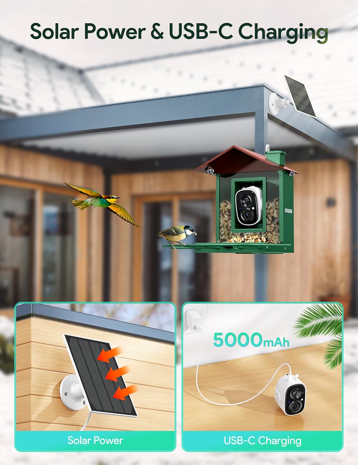 Osoeri Bird Feeder with Camera, Camera Bird Feeder for Outside, Solar-