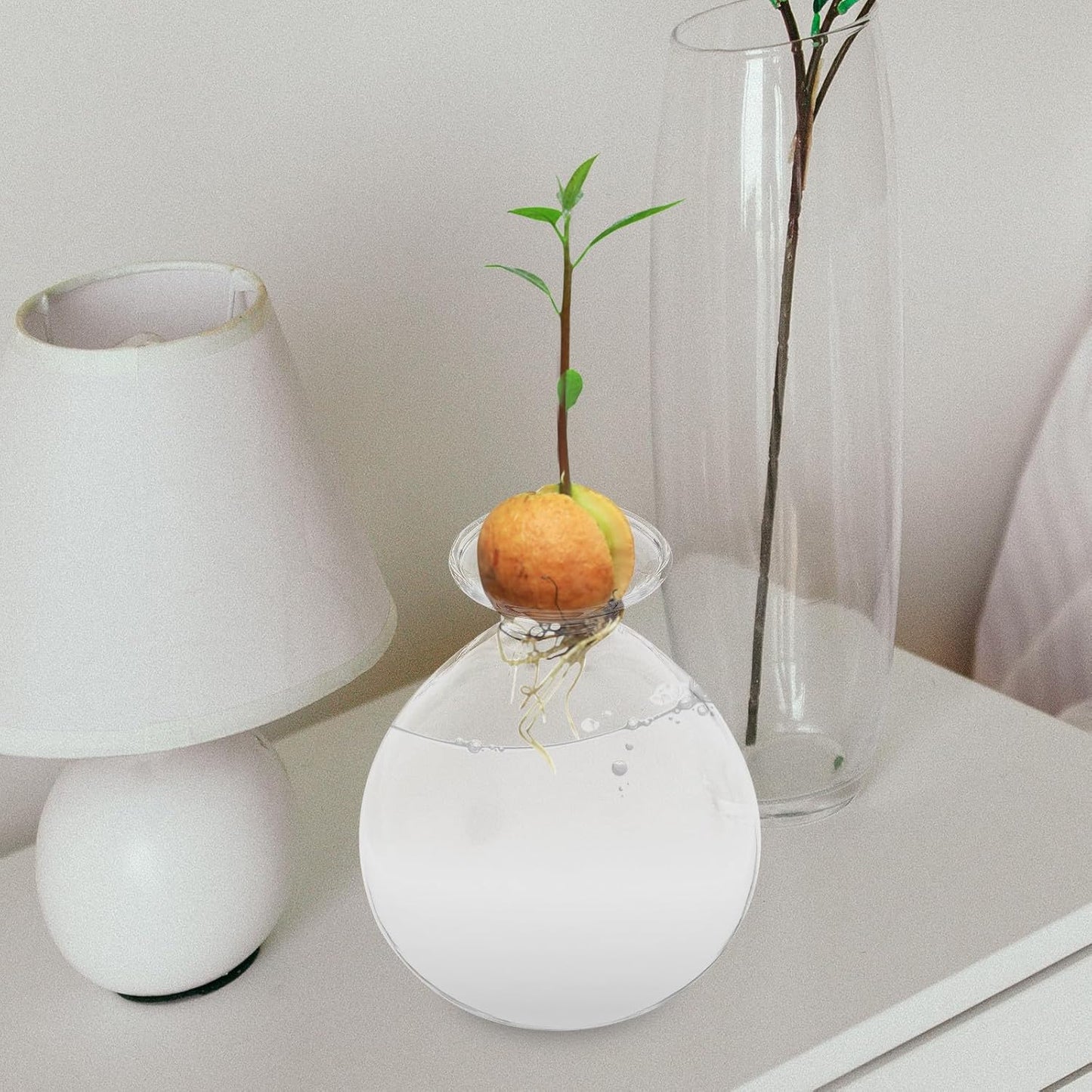PRETYZOOM Avocado Seed Planter Glass Water Plant Vase Succulent Shape Hydroponic Flower Pot for Indoor Green Plant Propagation Home Décor