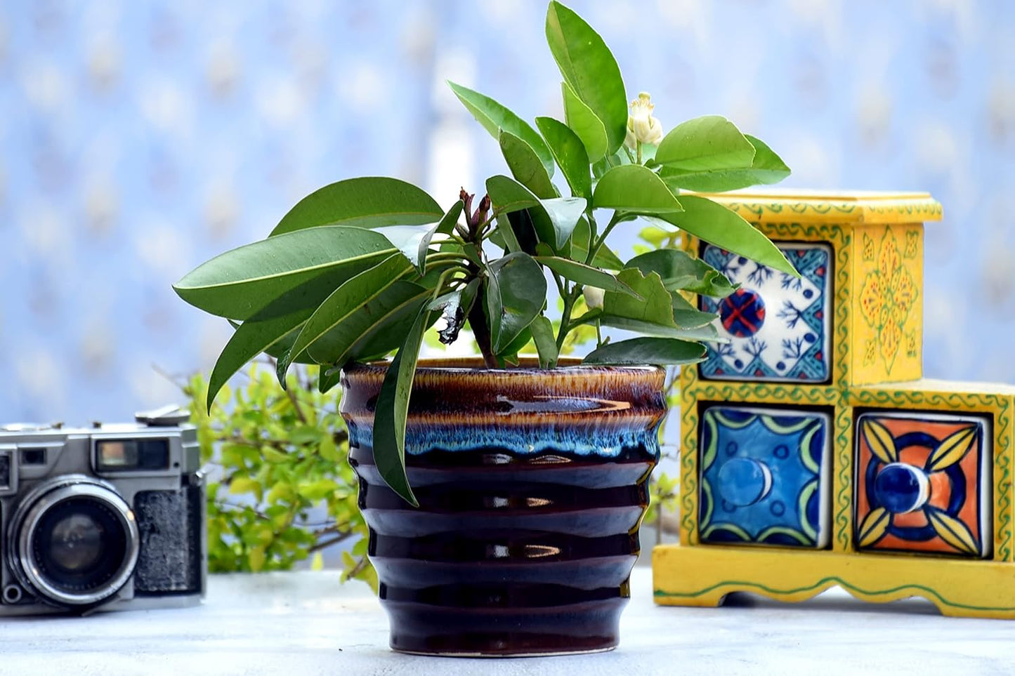 Indian Shelf Handmade Ceramic Multicolor Striped Glazed Pot Pack of 1 