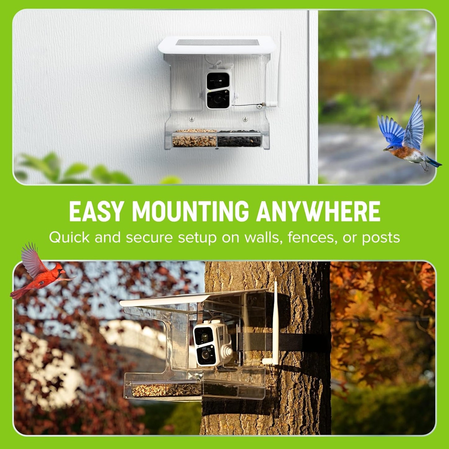 Smart Bird Feeder with Camera – XL Sliding Feed Tray for Effortless Refill – AI Birds ID – 3MEGAPIXEL Images – Video Feeder – Solar-Roof for Bird Lovers