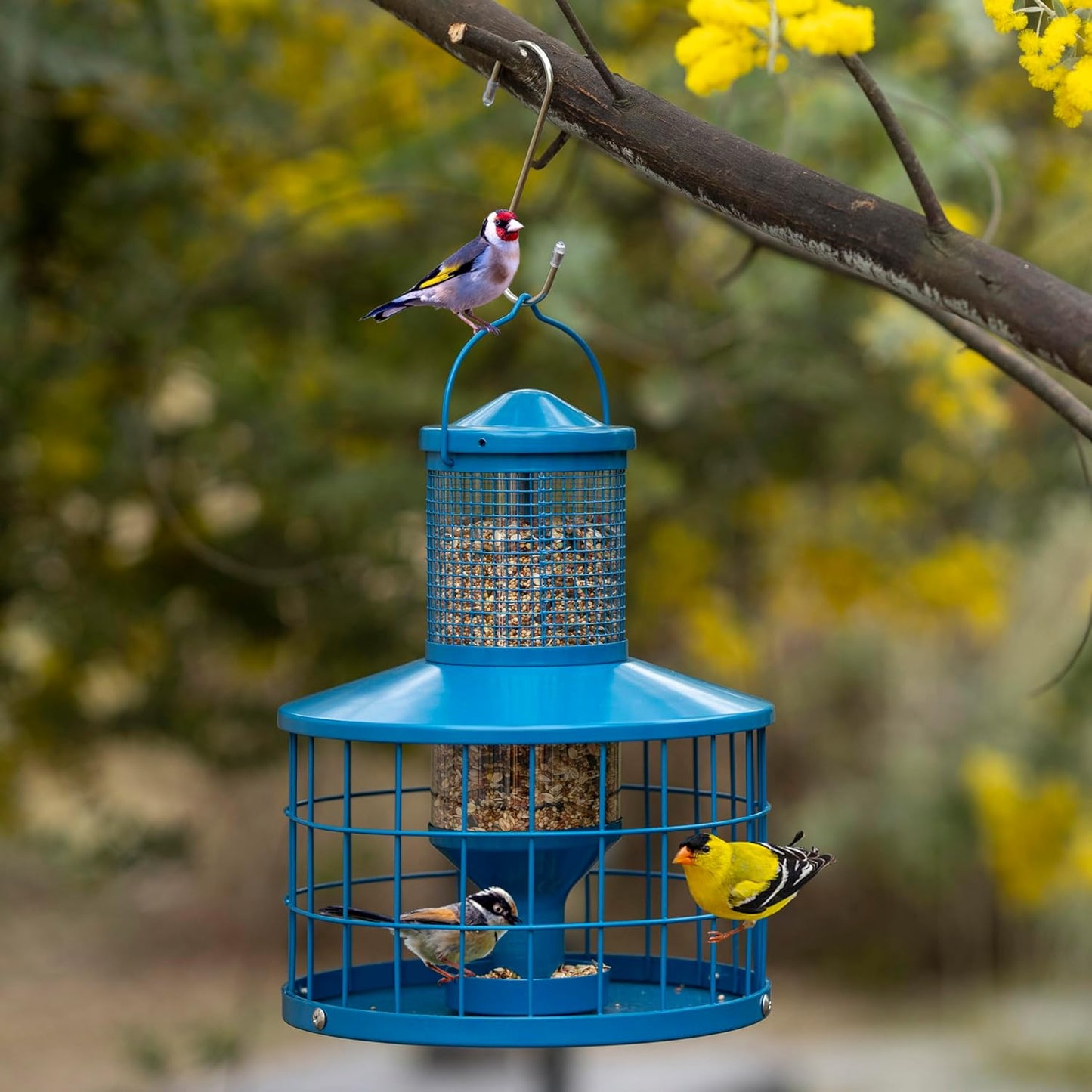 Caged Bird Feeders Squirrel-Proof, Metal, 2.8 Lbs Capacity-Cage Tube Seed Feeders with Tray Outdoor Hanging, Attract Birds,Detachable Cleaning, Starling Proof Wild Bird Feeder（Blue）
