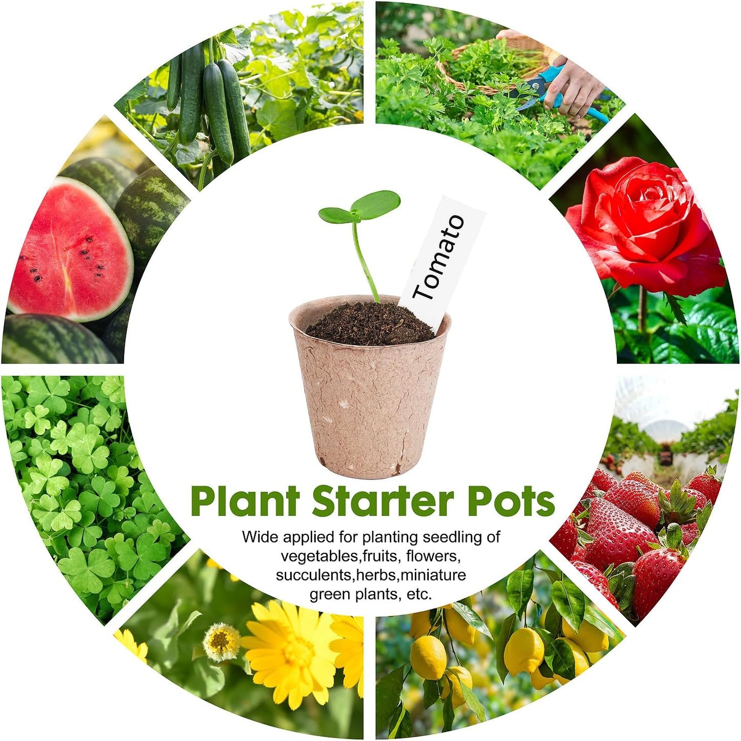 Peat Pots for Seedlings 3.15 Inch, Biodegradable Round Seed Starter Po