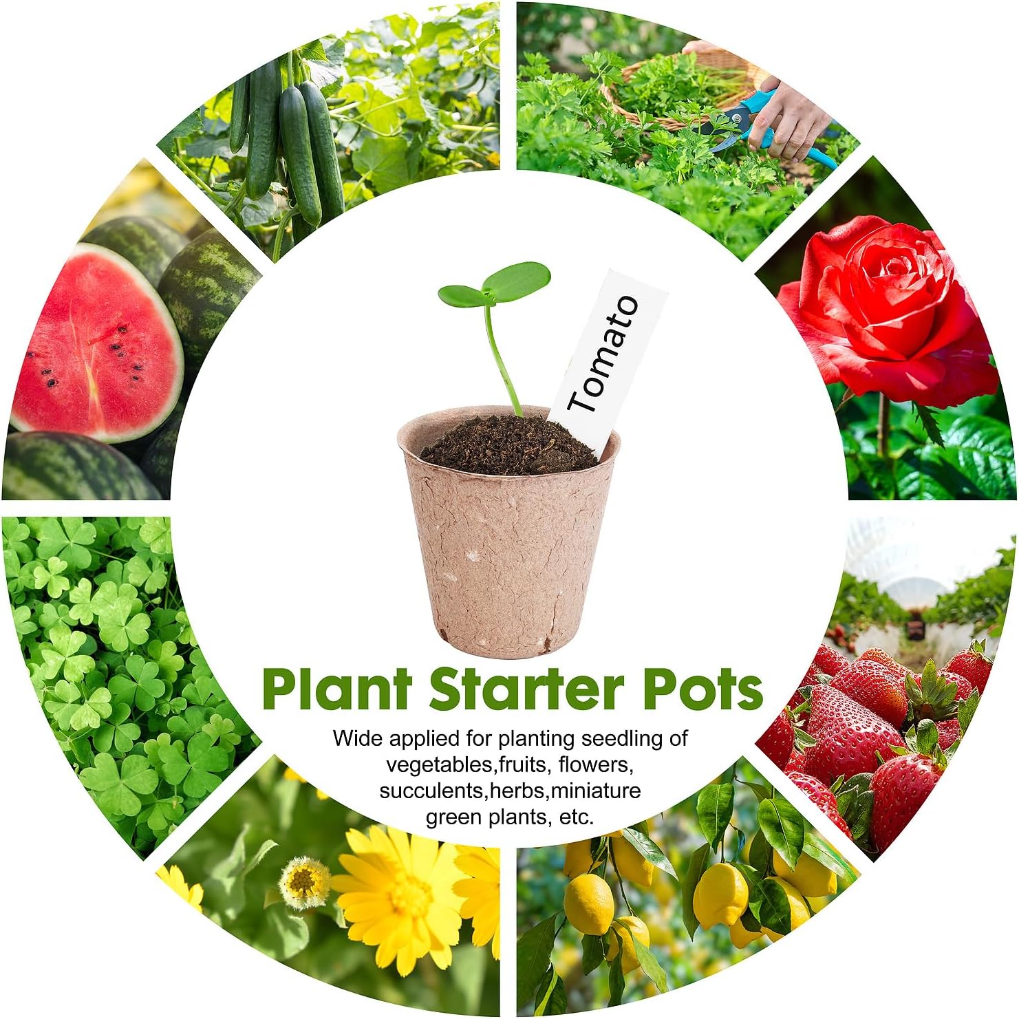 Peat Pots for Seedlings 3.15 Inch, Biodegradable Round Seed Starter Po