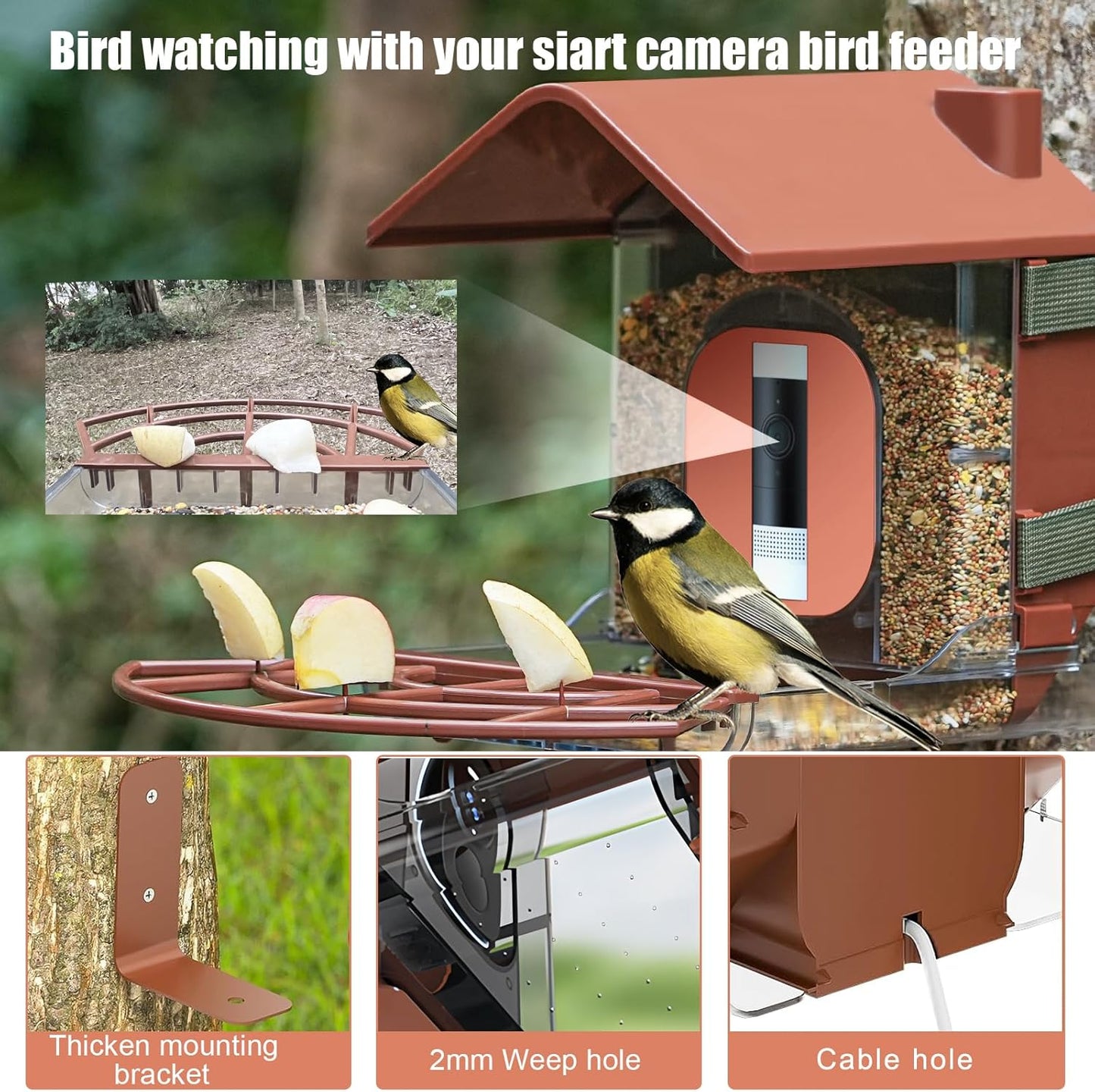 Zivif Smart Bird Feeders for Outdoors, Bird Feeder with Camera Case Co