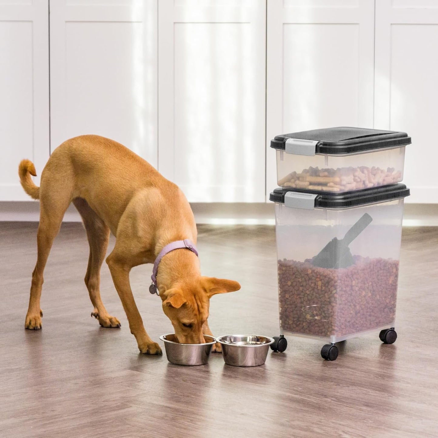 IRIS USA Dog Food Storage Container, 30 lbs & 11 lbs Combo, Cat Food S