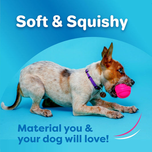 Hartz DuraPlay Bacon Scented Dog Toys, Small (Assorted Color)