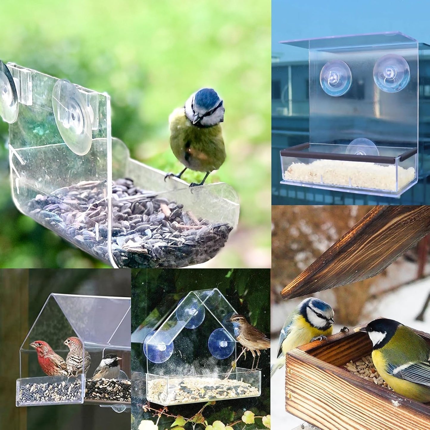 6 Pack Replace The Suction Cups of The Birds The Suction Cup of The Glass Bird Feeder, The of The Window of The Bird Feeder