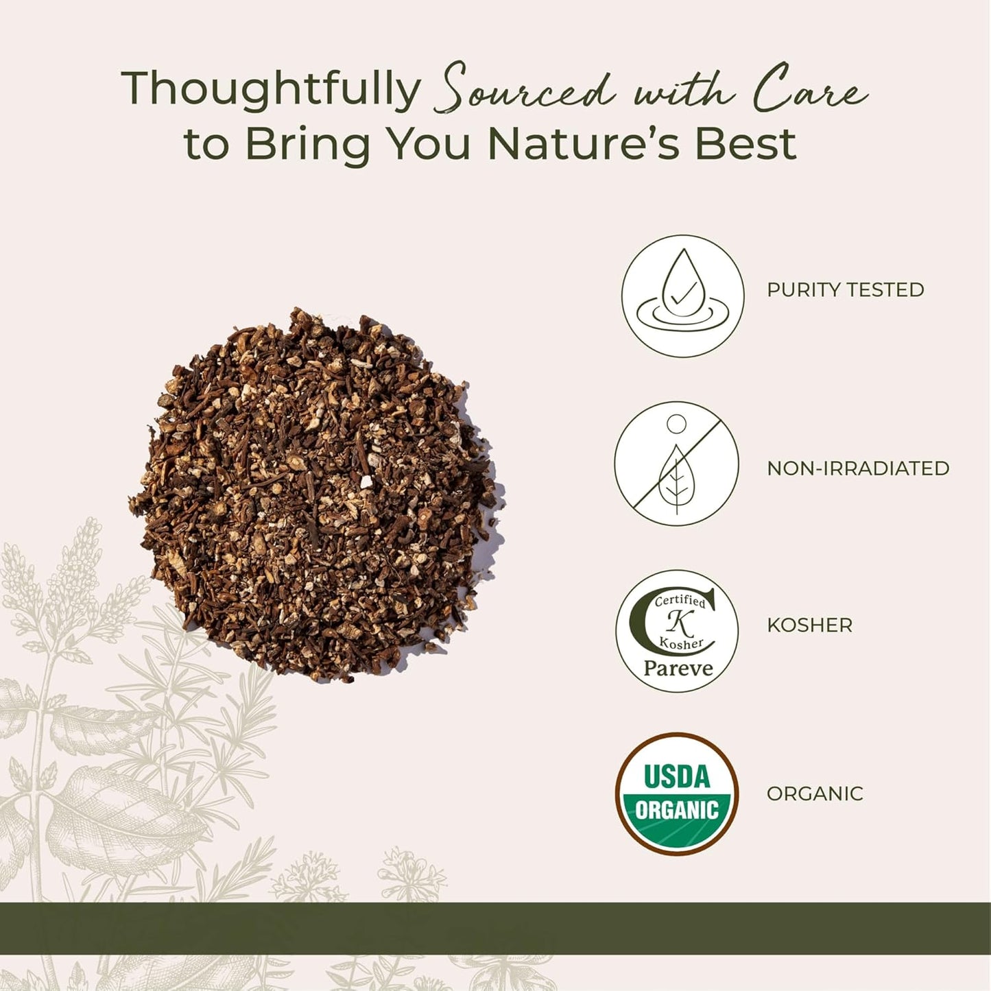 Starwest Botanicals Organic Raw Dandelion Root - Loose Leaf Herbal Tea, Cut & Sifted, Certified Kosher, Non-GMO, Caffeine-Free - 4 oz Pouch