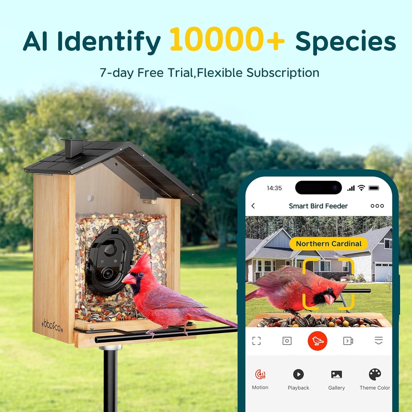 Solar Powered Bird Feeder Camera, 3L Capacity Smart Feeder for AI Identify Over 10000 Species, Cloud Storage, Auto Capture & Instant Arrival Alerts, Ideal Bird Lovers Gifts