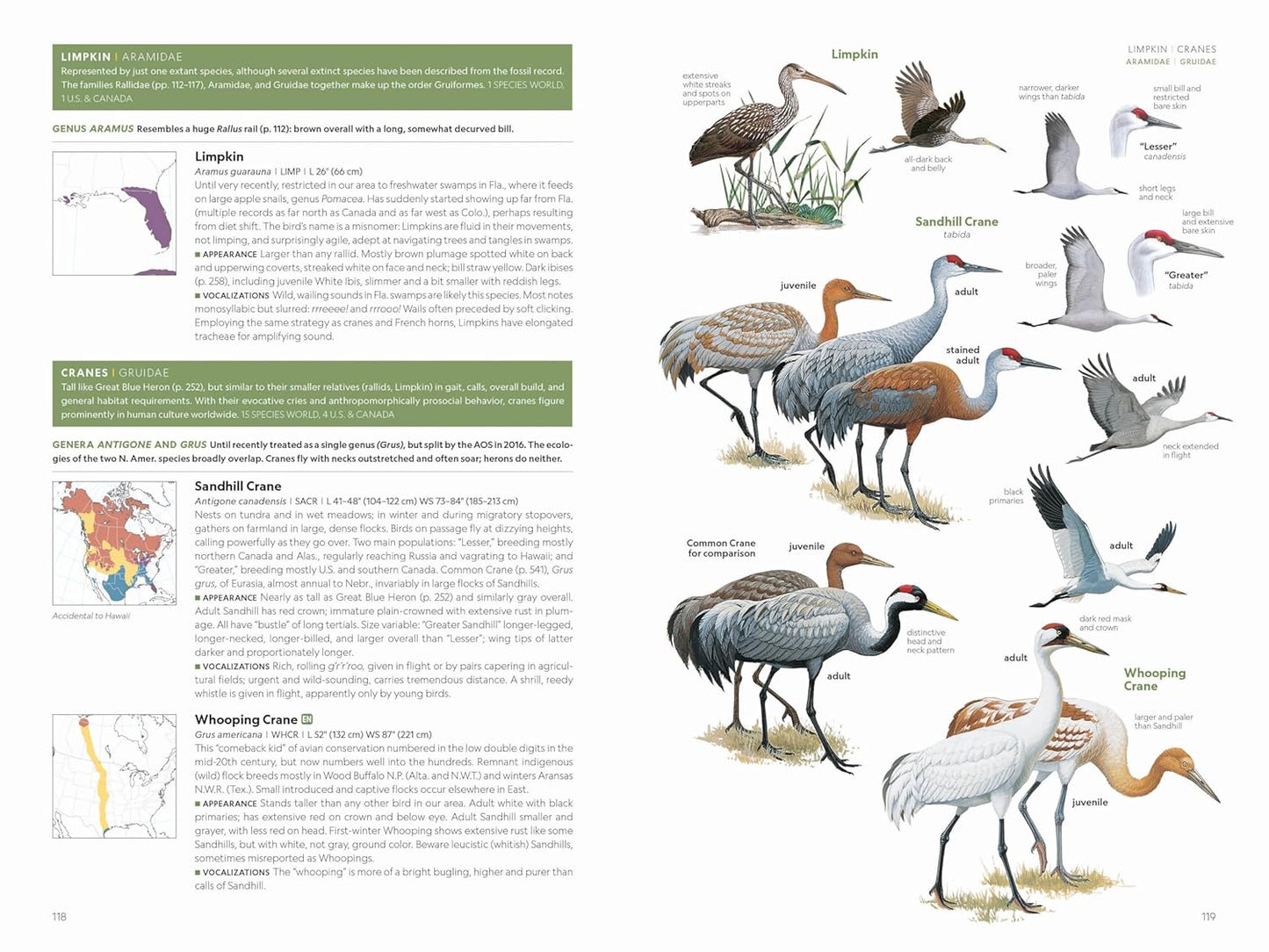 National Geographic Field Guide to the Birds of the United States and 