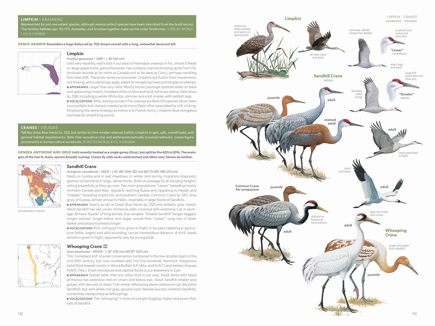 National Geographic Field Guide to the Birds of the United States and 