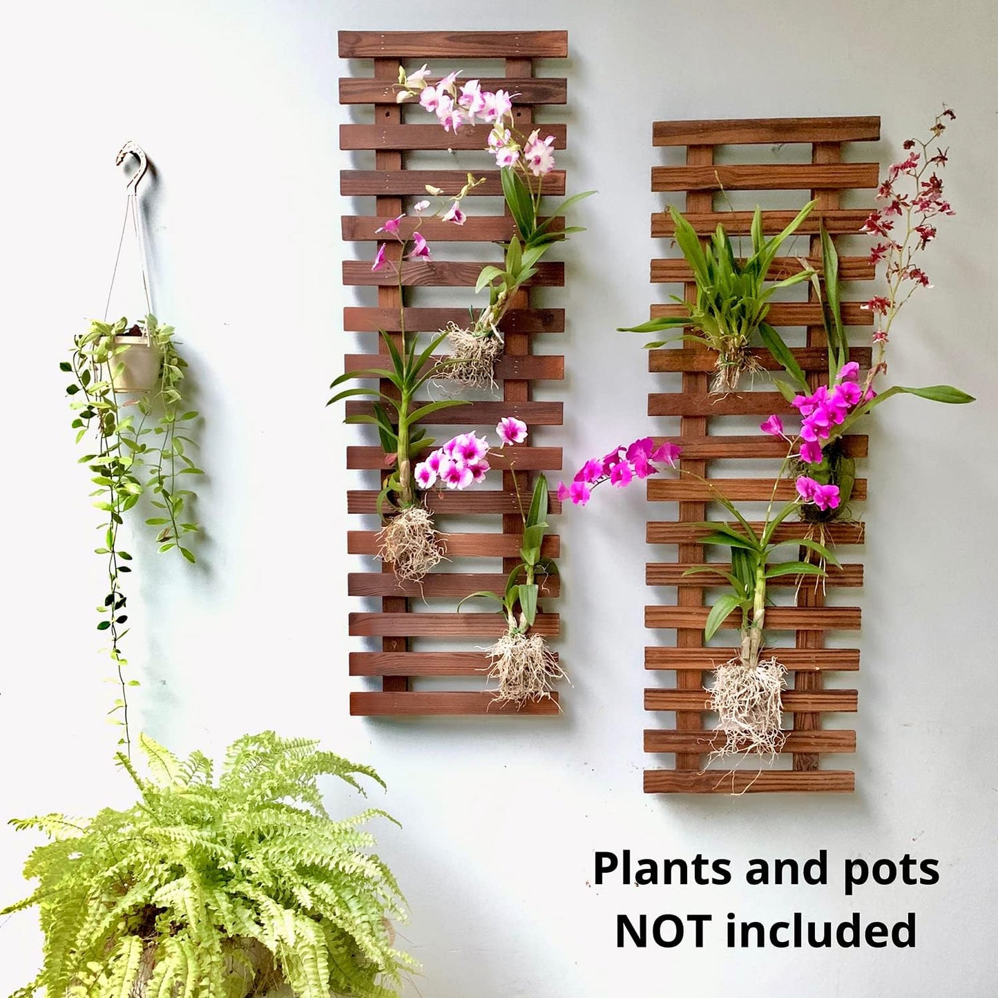 ShopLaLa Wall Planter – Hanging Planter for Indoor Plants, Plant Stand, Air Plant Succulent Holder, Vertical Garden. Large Wall Decor for Living Room, Room Decor for Teens