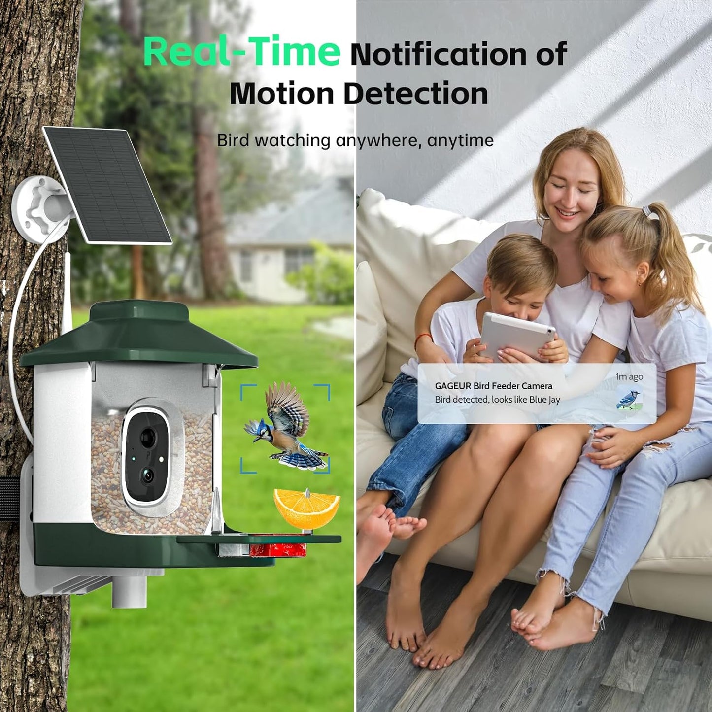 Smart Bird Feeder with Camera, AI Identify Bi rd Species Solar Powered,Full HD Live Video Bird Feeder Camera, 2.4Ghz WiFi, Instant Arrival Alerts - Best Gifts for Bi rd Lover