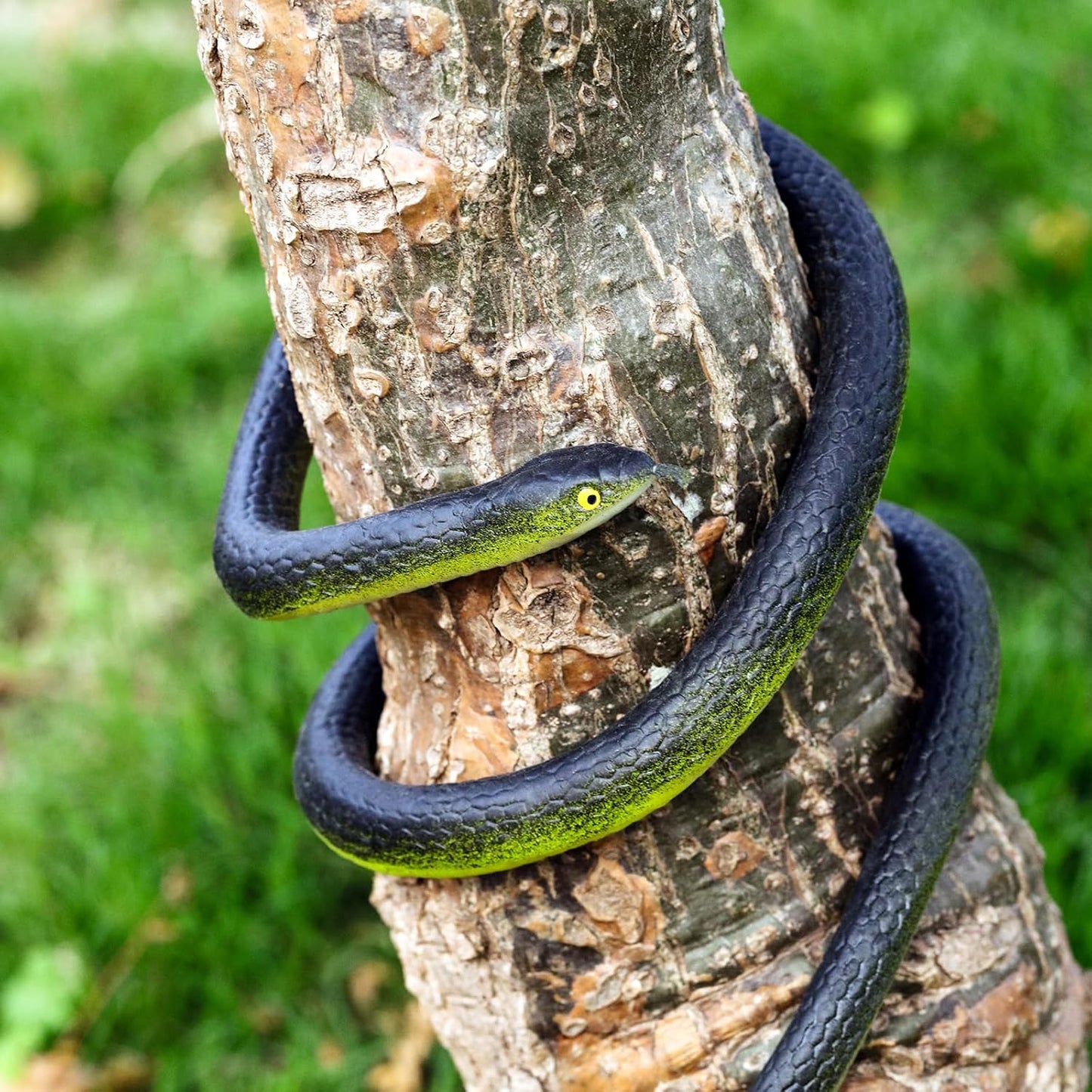 Blulu 3 Pieces Rubber Snakes Realistic Large Lifelike Fake Toys Plastic Garden Snake to Keep Birds Away Scare Squirrels Halloween Prank Props Scare Toy(Classic Style)