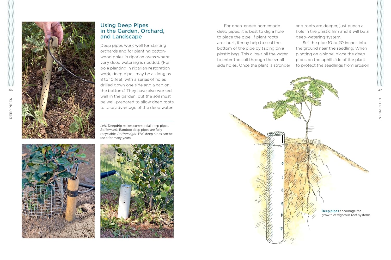 Gardening with Less Water: Low-Tech, Low-Cost Techniques; Use up to 90