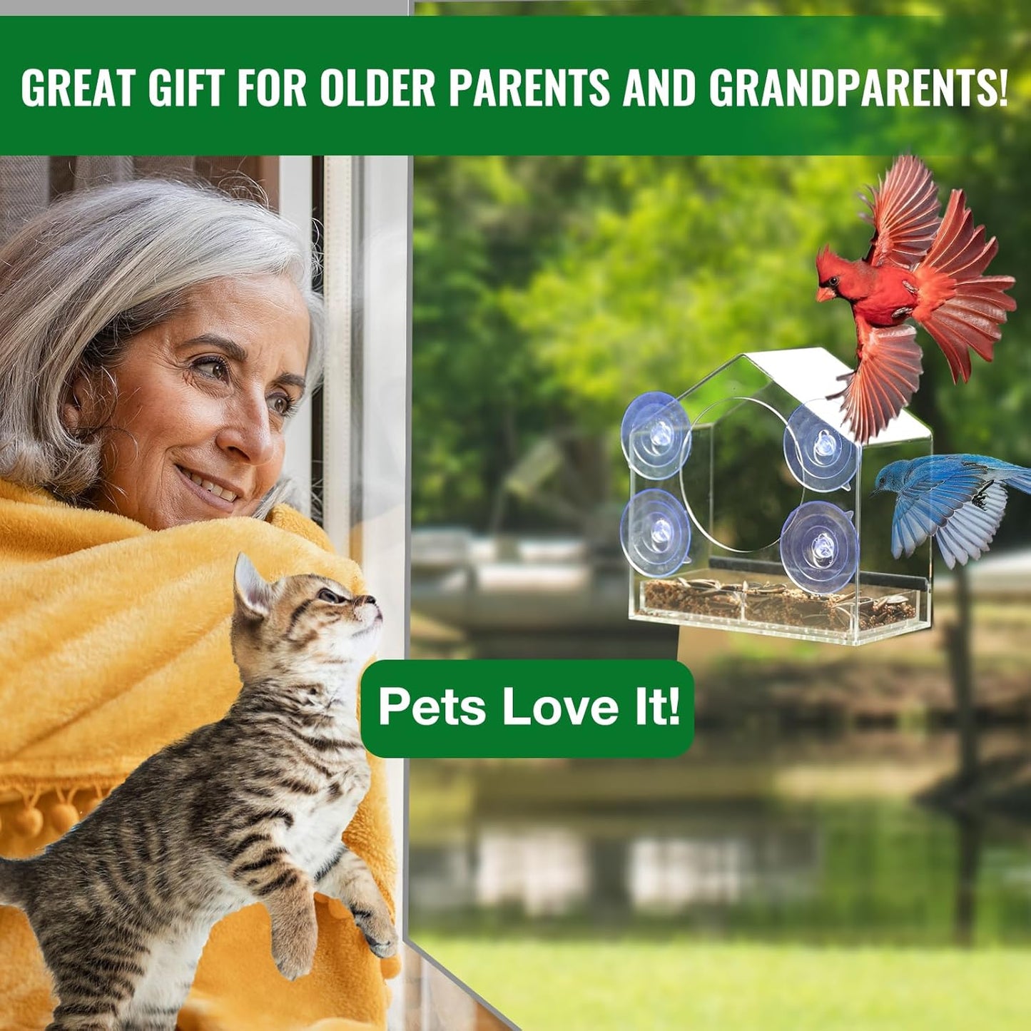 Window Bird Feeder with Strong Suction Cups for Outdoor Bird Watching, Sturdy Durable with Dual Detachable Seed & Water Trays, Easy Clean & Refill, Gift for Mom Bird