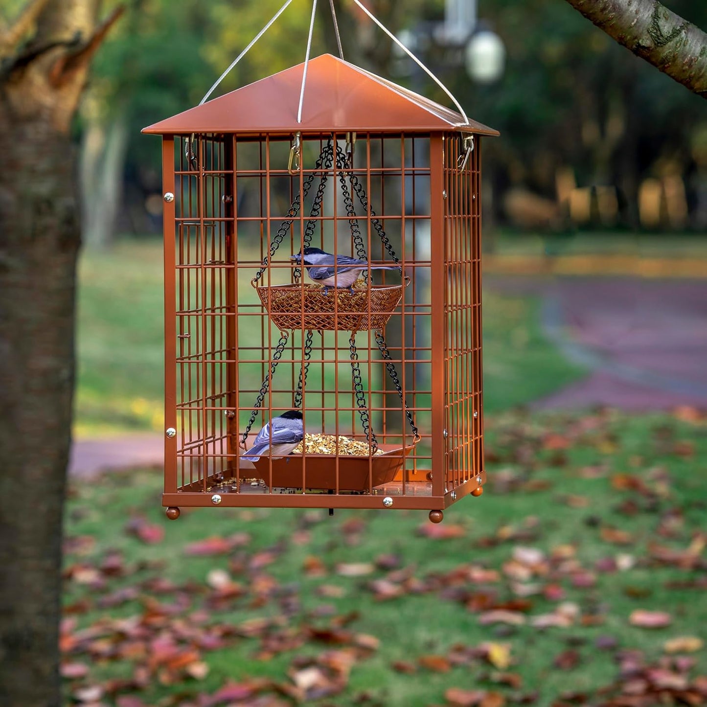 Mealworms Bird Feeders for Bluebirds - Metal - Huge Caged Squirrel-Proof Bird Feeders with 2 Cups, DIY Wild Bird Feeders Outdoor Hanging (Brown), Attract Wild Birds, 2lbs Seed Capacity+1 Mealworms Cup