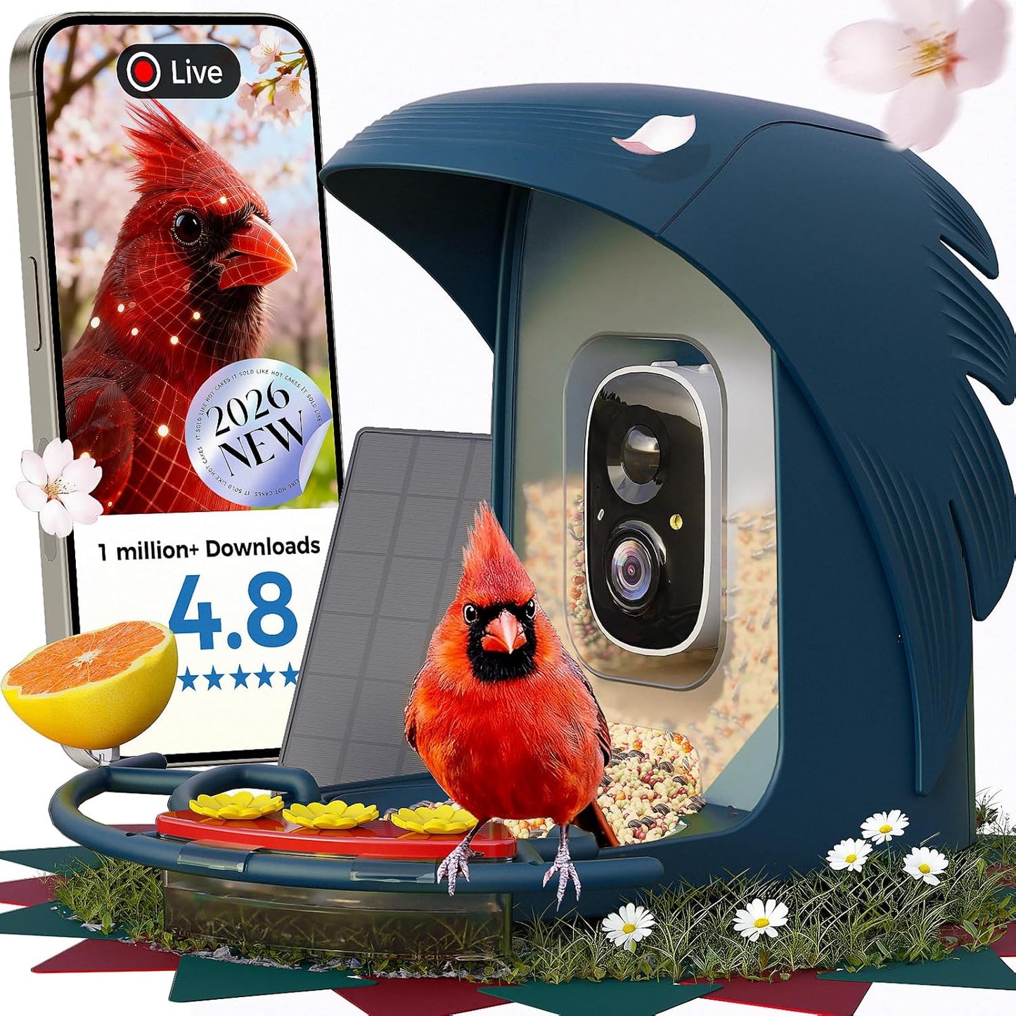 PerchMe® Smart Bird Feeder with Camera, Solar Powered Bird Watching Camera for Outside, 2K HD Auto Capture Motion Detection with AI Identify, DIY Add-ons & Seed Scoop, A Ideal Gift