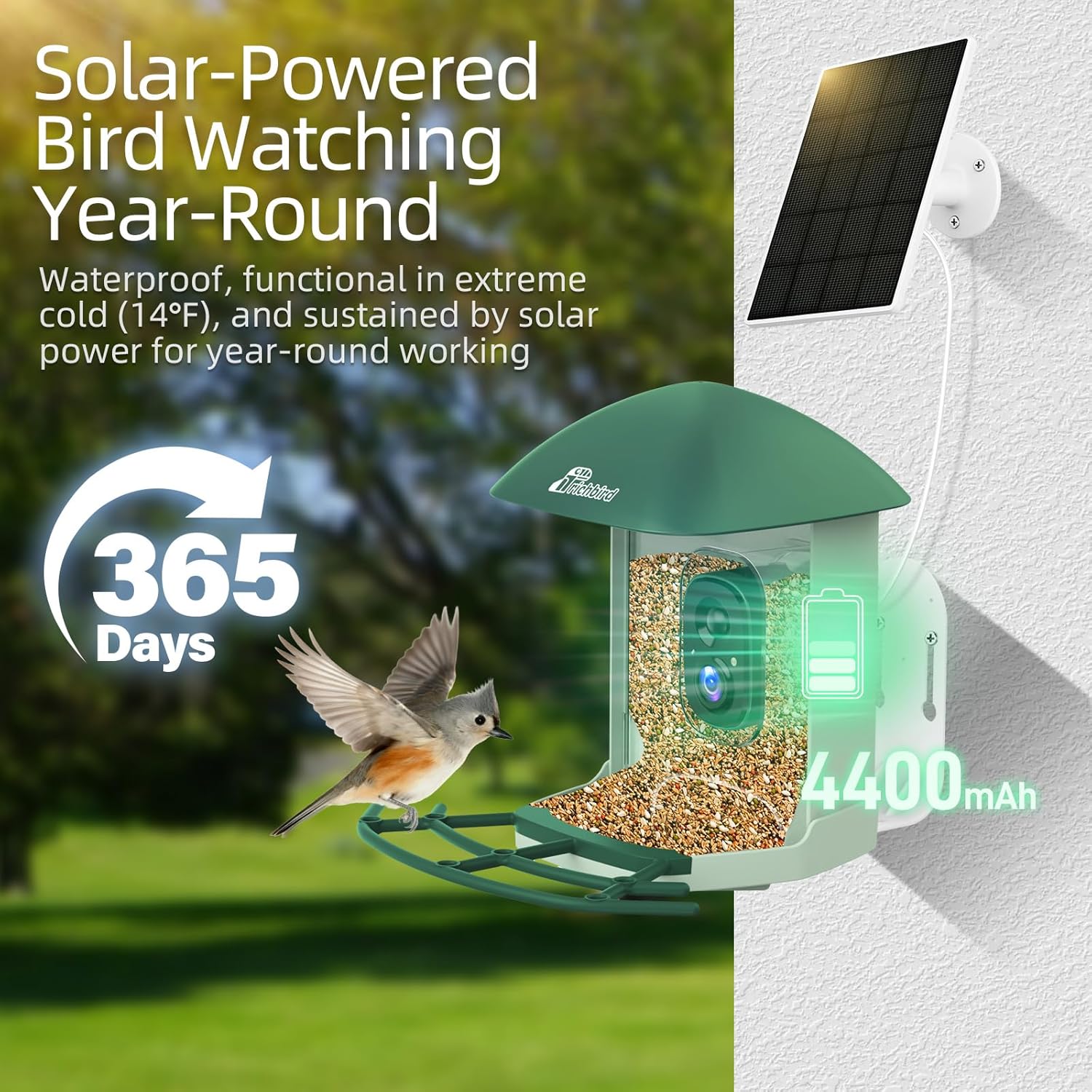 Smart Bird Feeder with 4MP HD Camera, Birdwatching Camera with Free AI