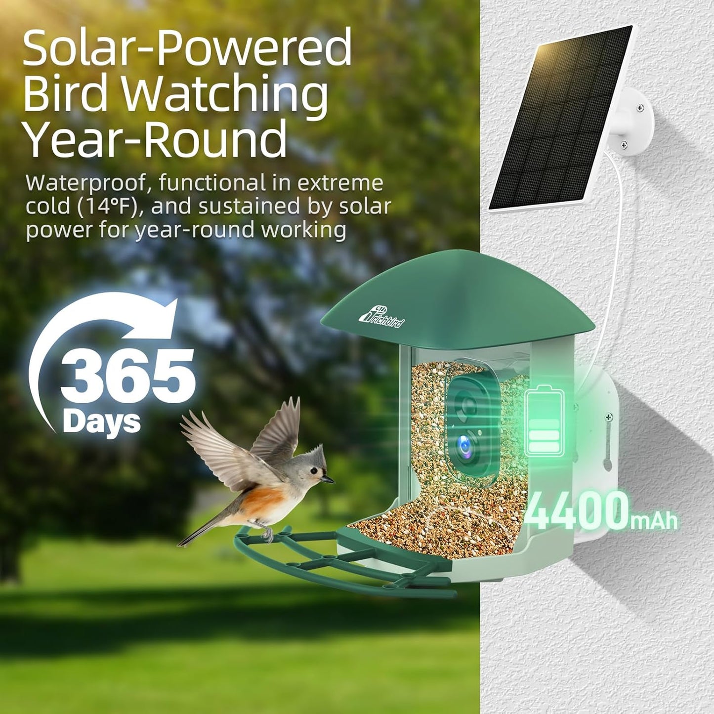 Smart Bird Feeder with 4MP HD Camera, Birdwatching Camera with Free AI Identify Birds & Solar Panel for Outdoors, Auto Video Capture & Instant Notifications, Green