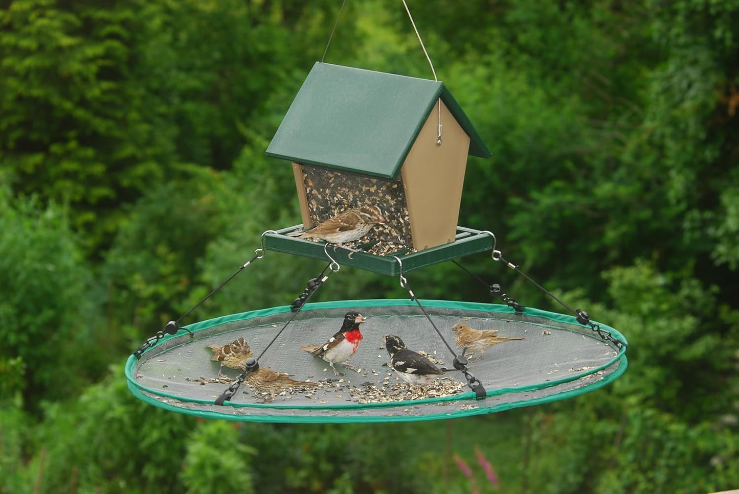 Songbird Essentials SEIA30024 Seed Hoop Seed Catcher & Platform Feeder
