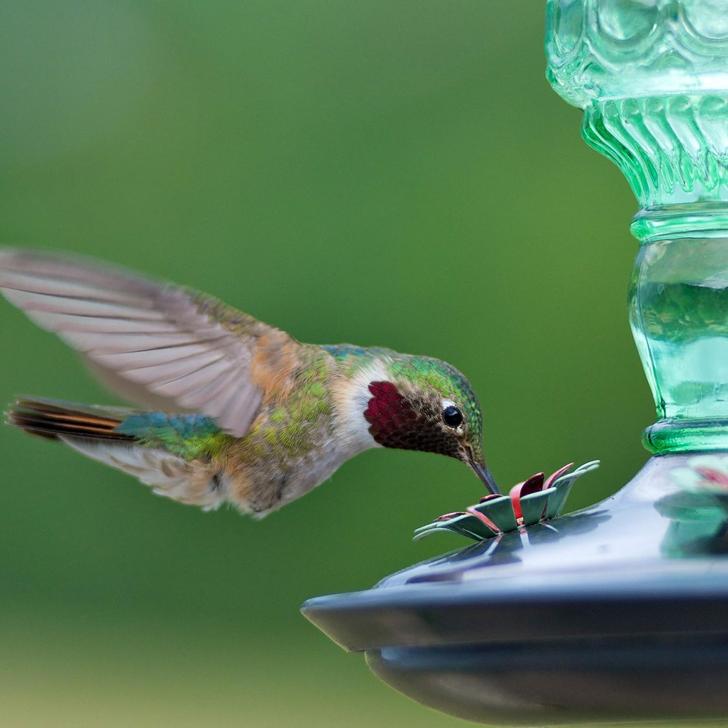 Perky-Pet 8108-1SR Antique Glass Bottle Hummingbird Feeder -10 oz + Perky-Pet 522 Ready-to-Use Clear Hummingbird Nectar in 4 Cans, 16 oz Each Recyclable Aluminum Can
