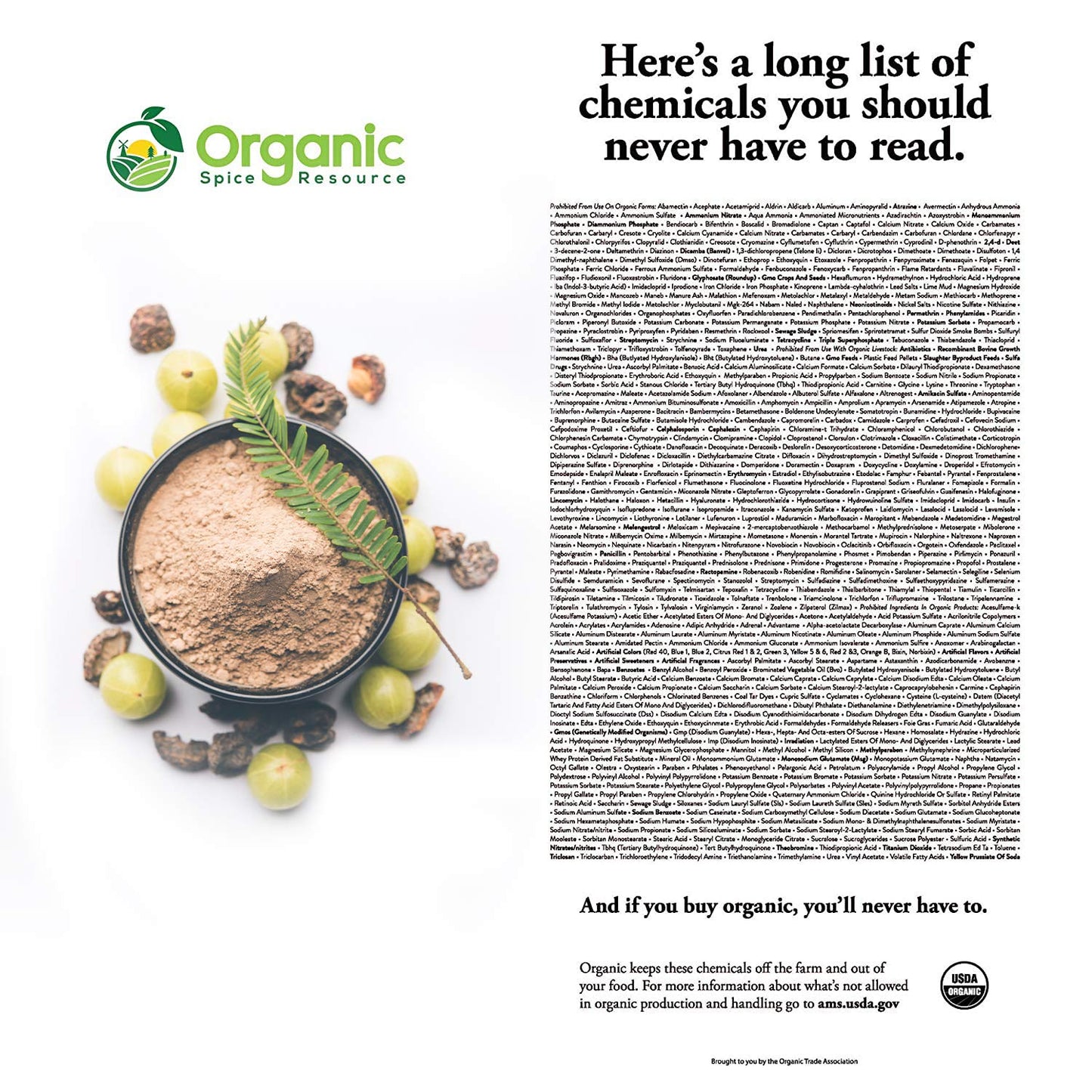 Organic Amla Powder - 1.1 lbs or 17.54oz | Amalaki, USDA Organics, Non