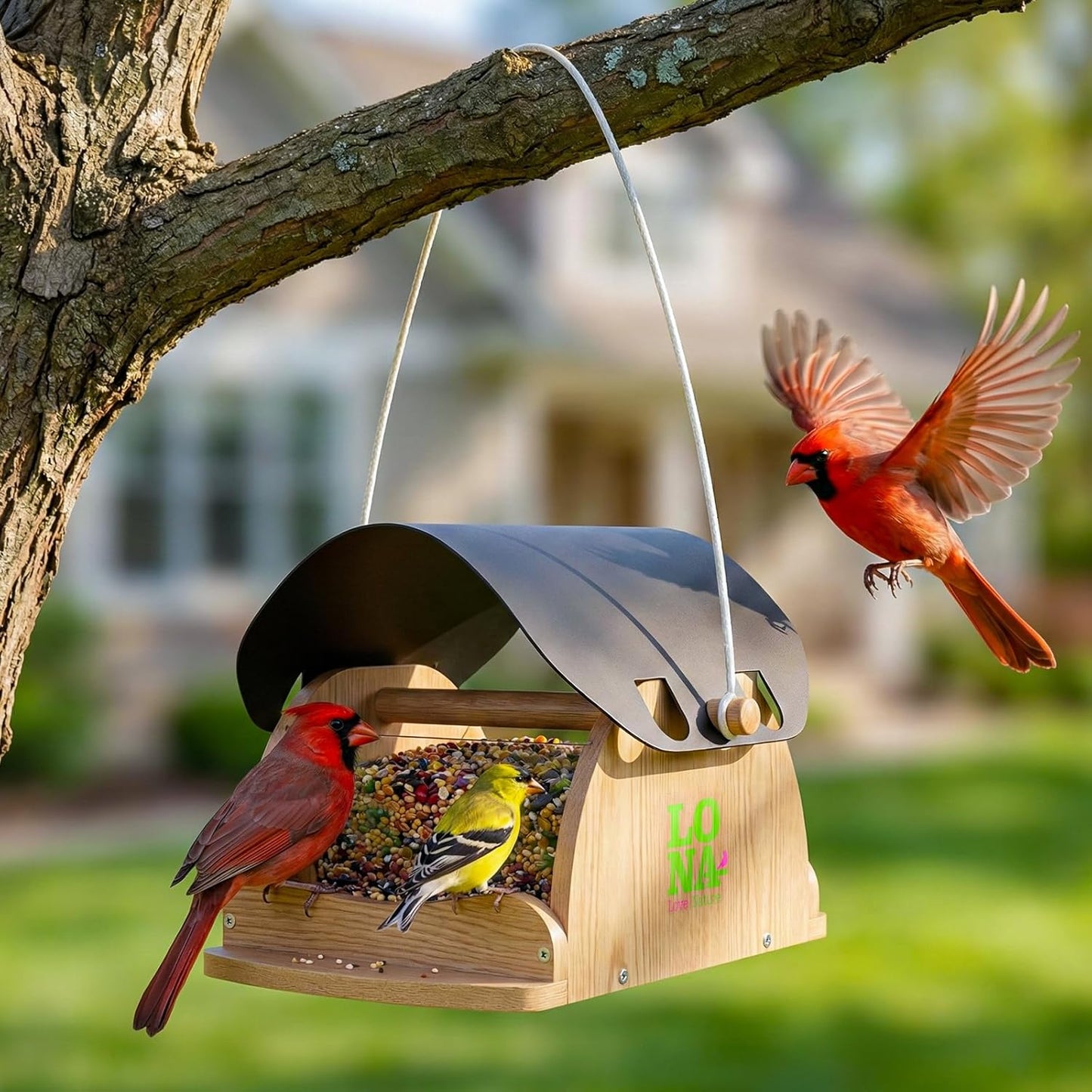 LONA Wooden Bird Feeder for Outdoors Hanging, Large Capacity Hopper wi