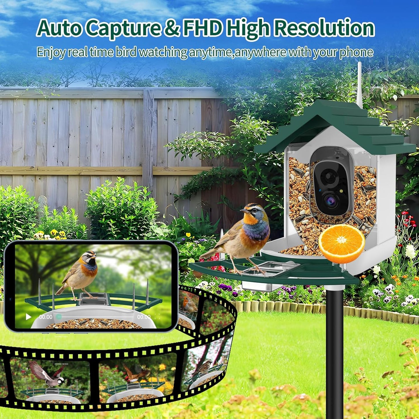 Smart Bird Feeder with Camera,Ai Identify Birds Watching Camera with Solar Powered,FHD Live View, Auto Capture Birds Video in Backyard,Porch, Patio,Ideal Gifts for Family and Bird Lovers (Dark Green)