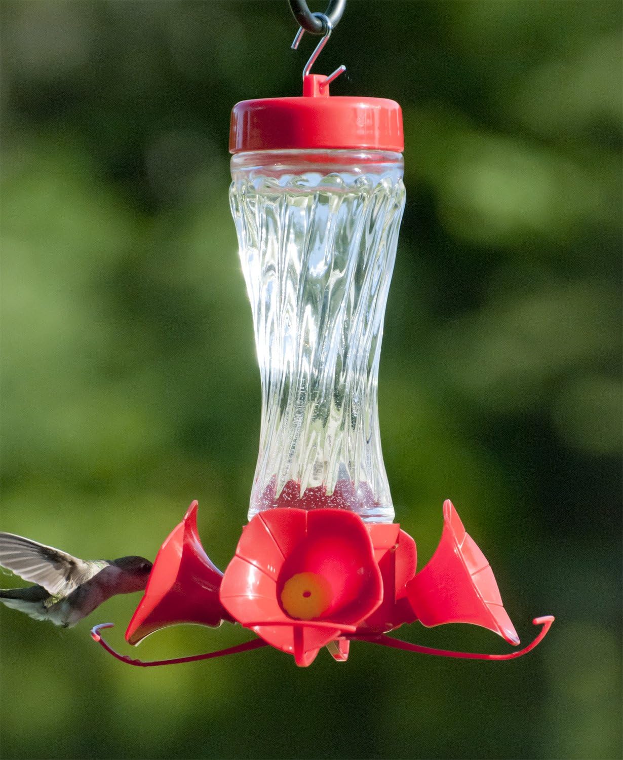 Audubon NA35223 Swirl Glass Hummingbird Feeder, 8 oz