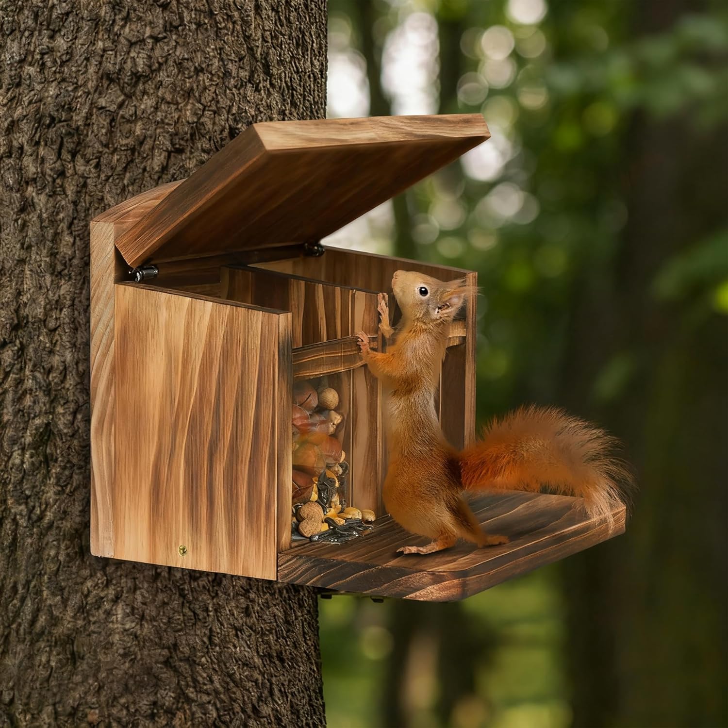 MIXXIDEA Large Squirrel Feeder House, Wooden Squirrel Feeders for Outs