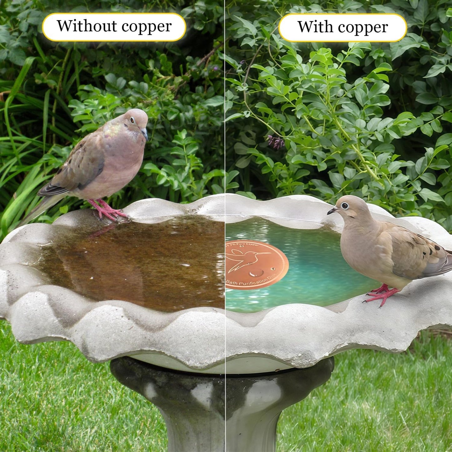 Bird Bath Copper Disk, Copper Disc for Bird Bath 99.99% Pure 0.6 mm Th