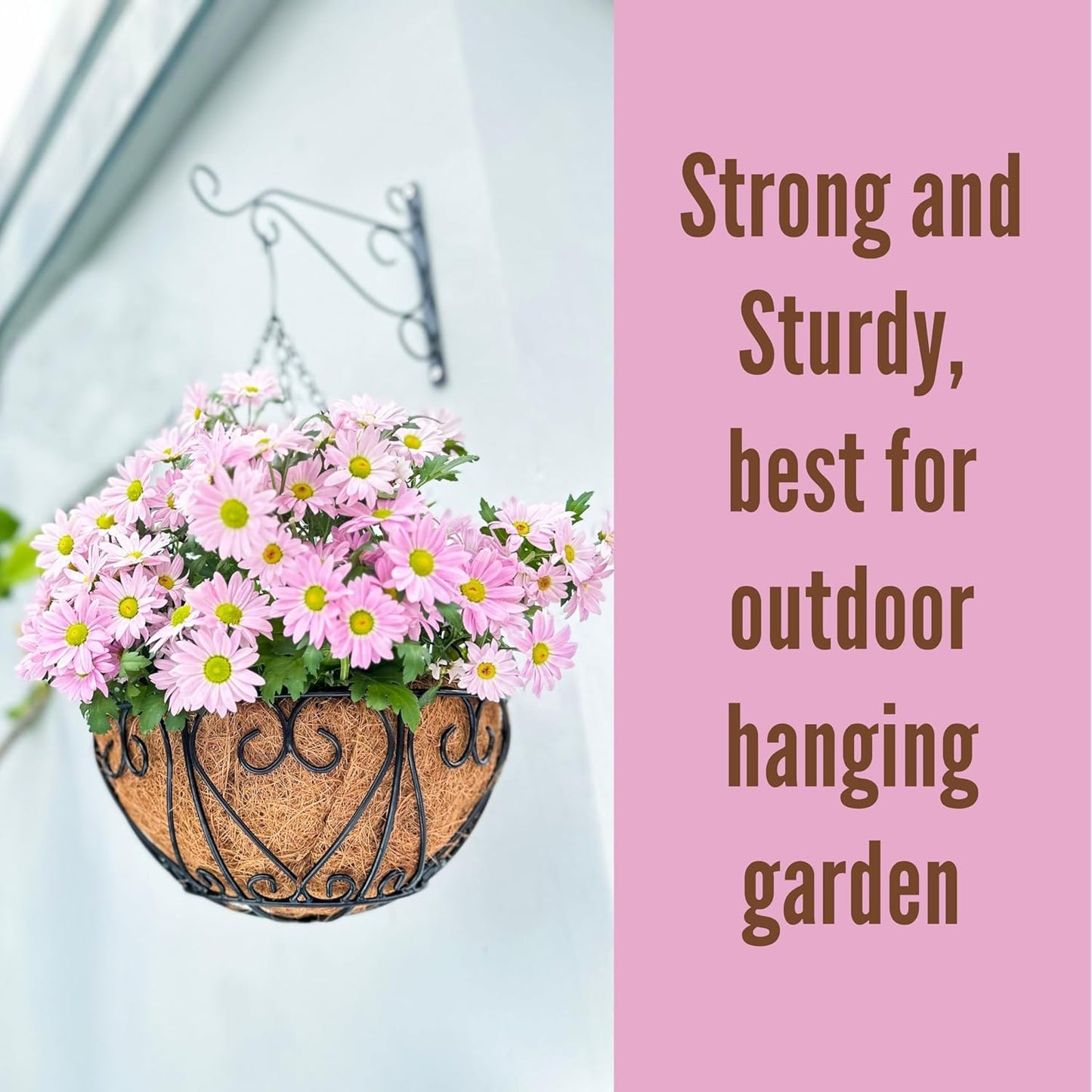 LaLaGreen Hanging Baskets for Plants (14 Inch, 4 Pack) Hanging Flower Pots with Coco Liner, Black Metal Wire Round Basket Plant Holder with Hanger Hook Chain, Outdoor Patio Deck Balcony Garden Decor