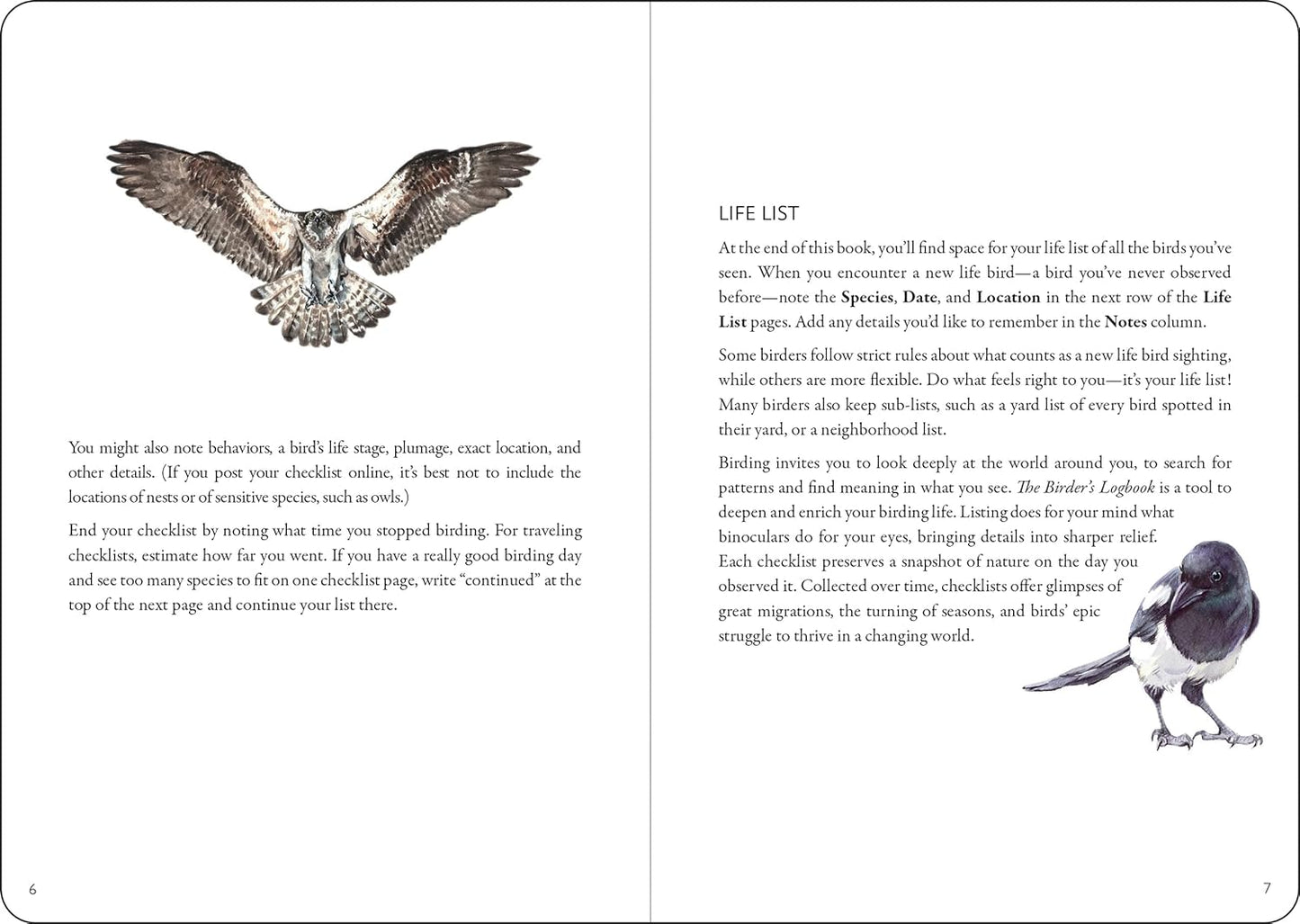 The Birder's Logbook (Organizer, checklists)
